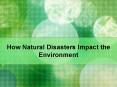 How Natural Disasters Impact the Environment PowerPoint PPT Presentation