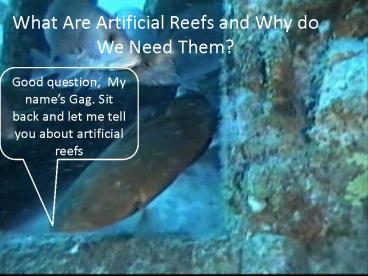 What Are Artificial Reefs and Why do We Need Them