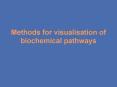Methods for visualisation of biochemical pathways PowerPoint PPT Presentation