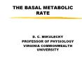 THE%20BASAL%20METABOLIC%20RATE PowerPoint PPT Presentation