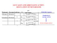 Karbohidrat Metabolizmasi