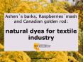 Ashens barks, Raspberriesmash and Canadian golden rod: natural dyes for textile industry PowerPoint PPT Presentation