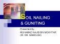 SOIL NAILING PowerPoint PPT Presentation