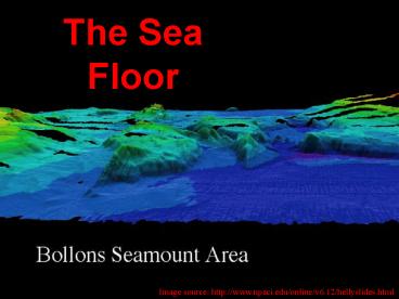 The Sea Floor