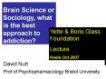 Brain Science or Sociology, what is the best approach to addiction PowerPoint PPT Presentation