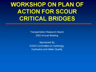 WORKSHOP ON PLAN OF ACTION FOR SCOUR CRITICAL BRIDGES