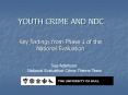 YOUTH CRIME AND NDC PowerPoint PPT Presentation