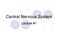 Central Nervous System PowerPoint PPT Presentation