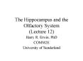 The Hippocampus and the Olfactory System (Lecture 12) PowerPoint PPT Presentation