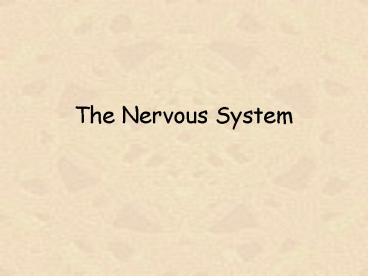 The Nervous System