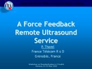 A Force Feedback Remote Ultrasound Service