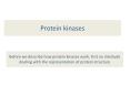 Protein kinases PowerPoint PPT Presentation