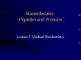 Biomolecules: Peptides and Proteins PowerPoint PPT Presentation