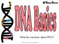 DNA Basics PowerPoint PPT Presentation