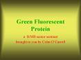 Green Fluorescent Protein PowerPoint PPT Presentation