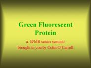 Green Fluorescent Protein