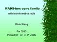 MADSbox gene family PowerPoint PPT Presentation