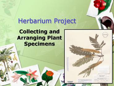 presentation player overlay