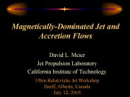MagneticallyDominated Jet and Accretion Flows