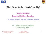 The Search for Z?bb at DO