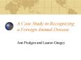 A Case Study in Recognizing a Foreign Animal Disease PowerPoint PPT Presentation