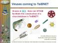 Viruses in ?? : How can ICTVdB facilitate the construction of a virus database in TaiBNET? PowerPoint PPT Presentation