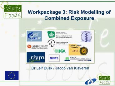 Workpackage 3: Risk Modelling of Combined Exposure