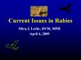 Current%20Issues%20in%20Rabies PowerPoint PPT Presentation