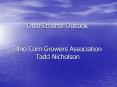 Ohio Ethanol Outlook Ohio Corn Growers Association Tadd Nicholson PowerPoint PPT Presentation