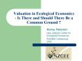 Valuation in Ecological Economics - Is There and Should There Be a Common Ground ? PowerPoint PPT Presentation