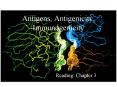 Antigens, Antigenicity, Immunogenicity PowerPoint PPT Presentation