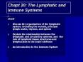 Chapt 20: The Lymphatic and Immune Systems PowerPoint PPT Presentation