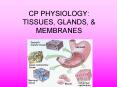 CP PHYSIOLOGY: TISSUES, GLANDS, PowerPoint PPT Presentation