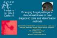Emerging fungal pathogens: clinical usefulness of new diagnostic tools and identification methods PowerPoint PPT Presentation