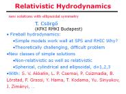 Relativistic Hydrodynamics