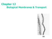 Biological Membranes