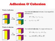 Adhesion