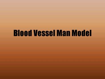 Blood Vessel Man Model