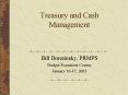 Treasury and Cash Management PowerPoint PPT Presentation