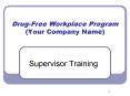 DrugFree Workplace Program Your Company Name PowerPoint PPT Presentation