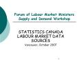 Forum of Labour Market Ministers Supply and Demand Workshop PowerPoint PPT Presentation