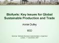 Biofuels: Key Issues for Global Sustainable Production and Trade Annie Dufey IIED Seminar: Biofuels PowerPoint PPT Presentation