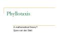 Phyllotaxis PowerPoint PPT Presentation