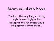 Beauty in Unlikely Places