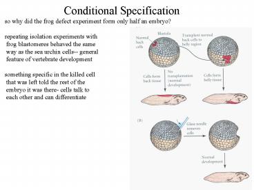 presentation player overlay