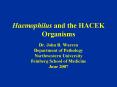 Haemophilus and the HACEK Organisms PowerPoint PPT Presentation