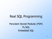 Real SQL Programming