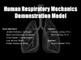 Human Respiratory Mechanics Demonstration Model PowerPoint PPT Presentation