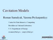 Cavitation Models
