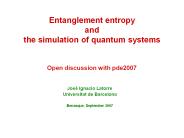 Entanglement entropy and the simulation of quantum systems  Open discussion with pde2007